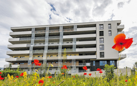 Mit Goldzertifikat in die Zukunft