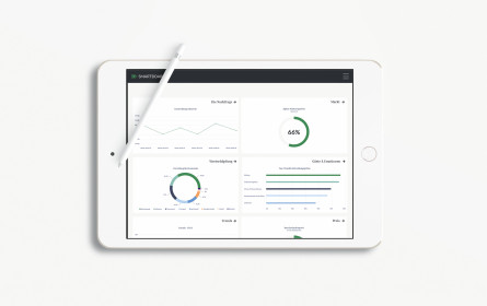 Marktforscher und Big Data-Analysten 