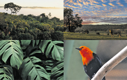 Maßnahmen für die Zukunft setzen