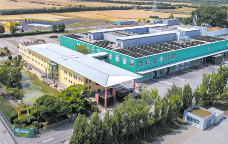 Wiesbauer und die „Wilde Linie&rdquo;