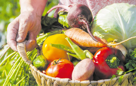 Lidl rabattiert um nachhaltige 70%