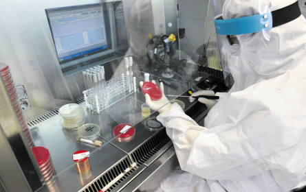 Corona-Impfung könnte Wirtschaft Auftrieb geben