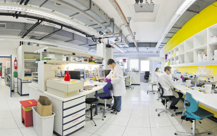 Neuer Ansatz gegen Krebs