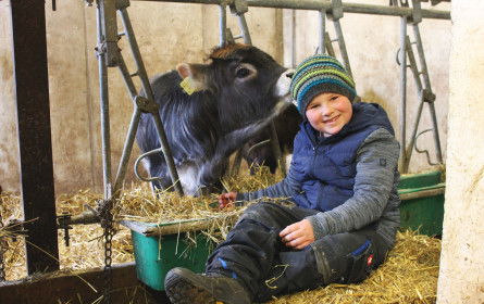 Regionale Wertschöpfung: Hofer Kalbsschnitzel zu 100% aus Tirol