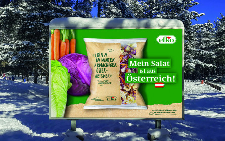 MMS begleitet efko bei Produkt-Launch des Wintersalats