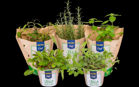 Metro zeigt Kräuter-Vielfalt