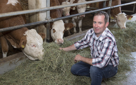 Tiroler Almrinder mit dem Gütesiegel „Qualität Tirol“ – jetzt bei Spar