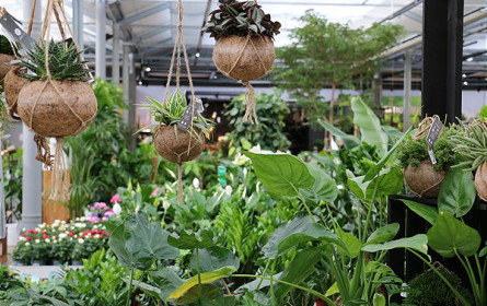 Ab heute mit bellaflora in die neue Gartensaison