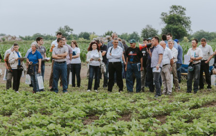 Donau Soja und ADA treiben nachhaltigen Sojaanbau in Europa voran