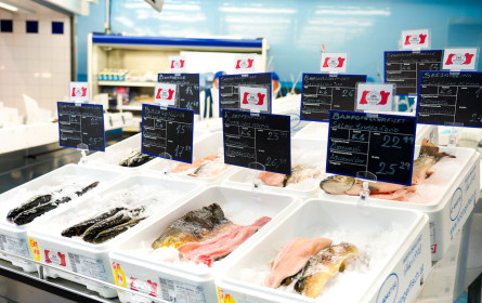 Metro ist einziger Großhändler Österreichs mit AMA-zertifiziertem Frischfisch