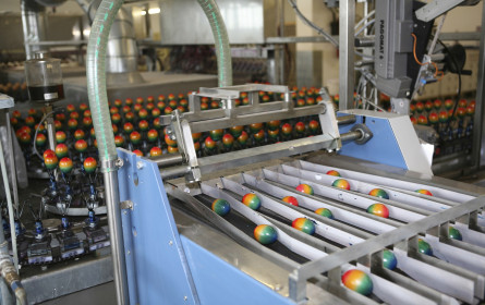 Österreicher verbrauchen 242 Eier pro Jahr