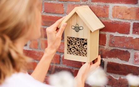 Tchibo setzt sich für Bienenschutz ein