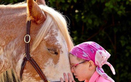 Lidl Österreich spendet 4.750 Euro an den Verein e.motion in Wien