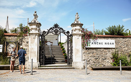 Neuer Vorstand für Arche Noah