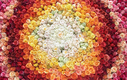 Muttertags-Blumen aus dem Supermarkt: Editel ermöglicht digitale Anbindung von Klimesch