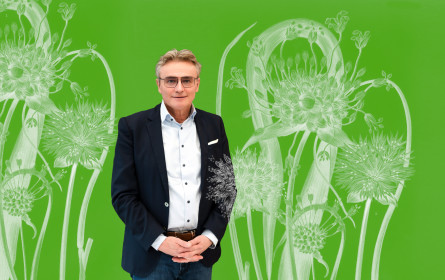 Reichl und Partner pflanzt für jeden Neukundenkontakt drei Bäume