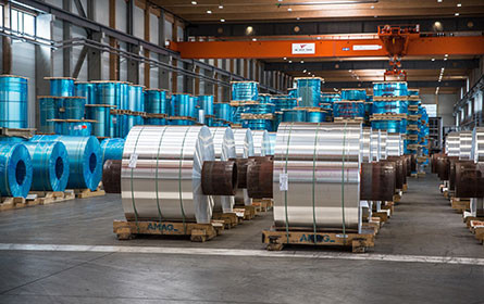 Die Ungarn-Connection