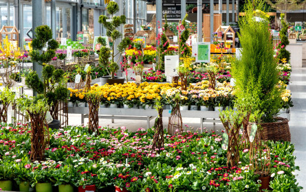 Click & Collect Service von bellaflora