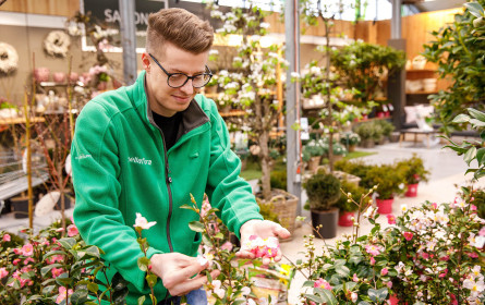 Offene Filialen für alle: bellaflora bringt das Wohnzimmer nach draußen