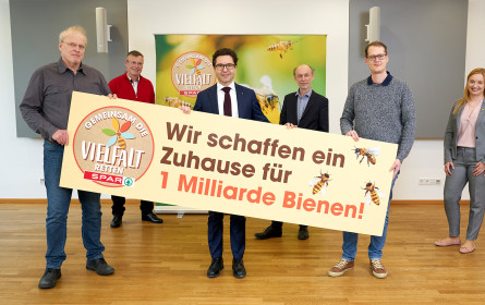 Spar schafft Lebensräume für Bienen