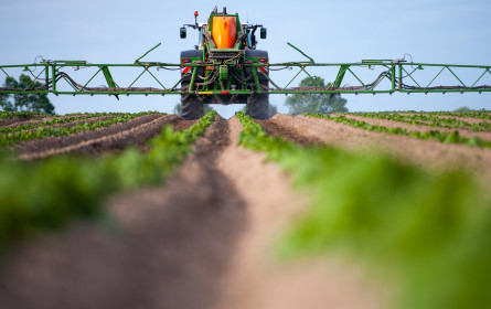 Spar zu Glyphosat-Verbot: Gut gemeint, aber noch zu wenig