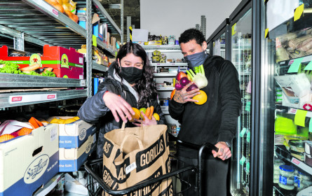 Online-LEH: "Gorillas" vor Start in Österreich