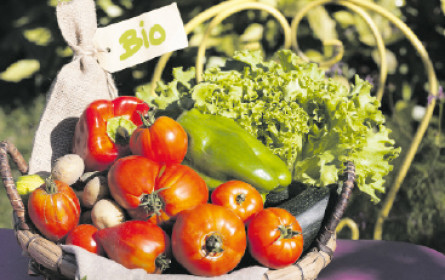 Corona-Turbo für die Nachhaltigkeit