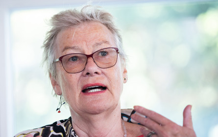 ROG Österreich verurteilt Angriff auf Mediengebäude in Gaza