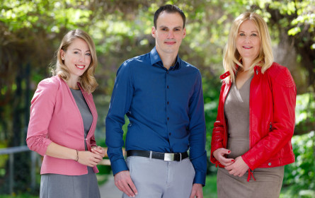 APA „töchtert“ Gentics Software aus