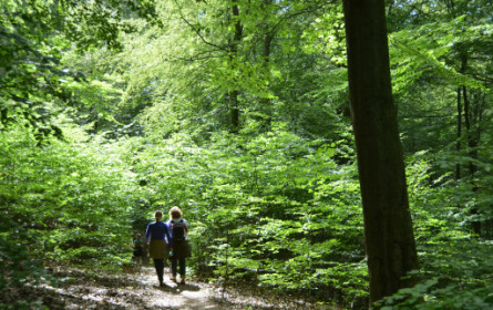 #allemachenmit: Factor Eleven startet mit Kampagne zum World Environment Day