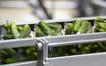 efko: seit 80 Jahren frisch vom Feld ins Glas