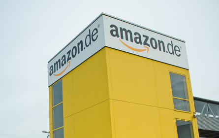 Dem Fiskus fehlt jährlich fast 1 Milliarde Euro wegen Amazon & Co