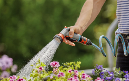 Mit Gießtipps von bellaflora durch den Sommer