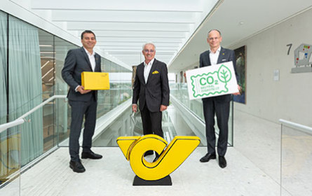 Gelb-grünes Jubiläum