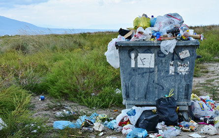 Regierung will Lebensmittelverschwendung reduzieren