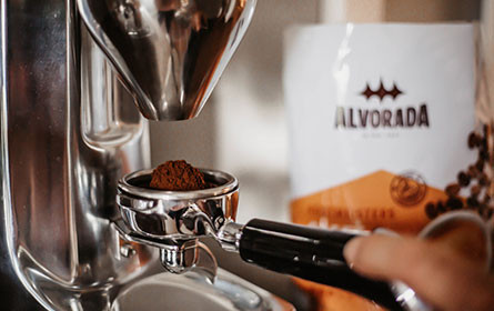 Neustart für Alvorada