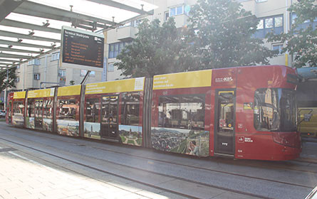 Auf zum Segelturn, auf in neue Dimensionen, direkt hin zum Markt, auf nach Baden-Württemberg
