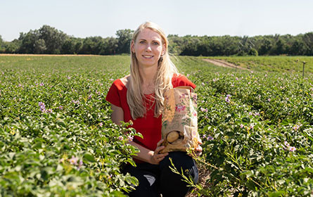 Ein echter Wiener am Teller