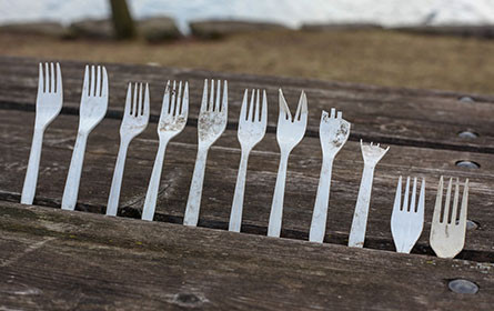 VKI: Kritik an Schadstoffen in Alternativen zu Plastik-Einweggeschirr