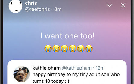 Twitter schafft Tweets mit Verfallsdatum wieder ab