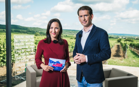 Insgesamt rund 1,3 Mio. Zuseher für die Sommergespräche auf Puls 4 und Puls 24