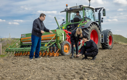 20 Prozent weniger als vor zehn Jahren: Entwicklung bäuerlicher Einkünfte ist ein Armutszeugnis