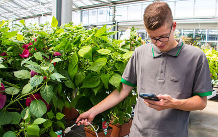 Bellaflora für nachhaltige Massnahmen bei Wasserverbrauch ausgezeichnet