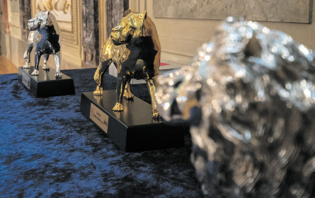 Nominierten für die Goldene Medienlöwin 2021 stehen fest