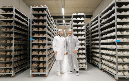 Ein Jubiläum zwischen Pilzen und Würstel