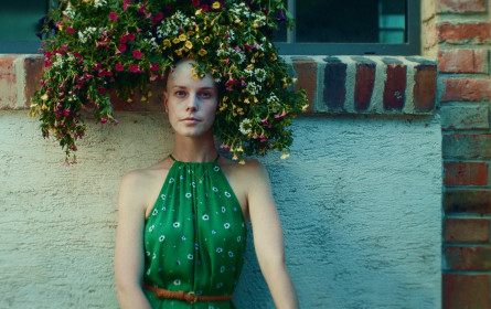 &US entwickelt Kampagne für die Donau Krebsversicherung