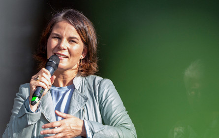 Bundestagswahl-Studie: Vor allem Baerbock Ziel von Desinformation