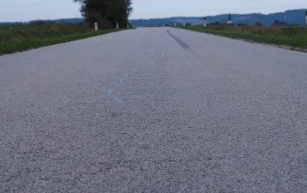 Europas Automarkt legt Bremsspur hin