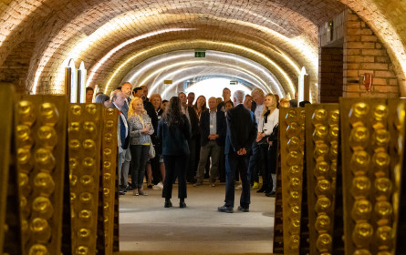 „Die Künstliche Intelligenz ist unsere Jahrhundert-Chance“