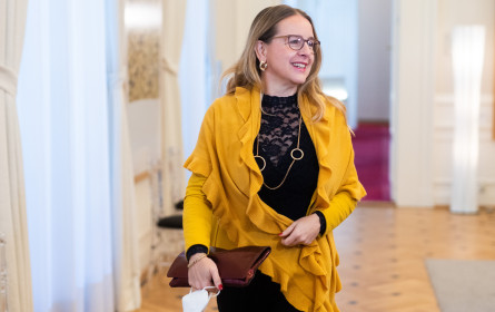 Österreichs Unternehmertum in Zeiten der Pandemie: stabil oder veränderungsresistent?